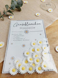 Streuteile Gänseblümchen