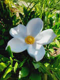Blumenstecker gross - Stella weiss-gelb