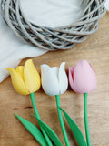 Tulpen - einzeln